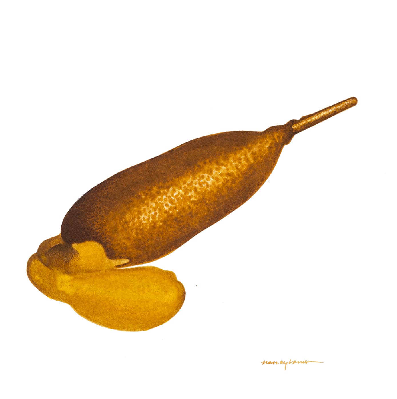 Nancy Lamb, Poupon Dog, 2020