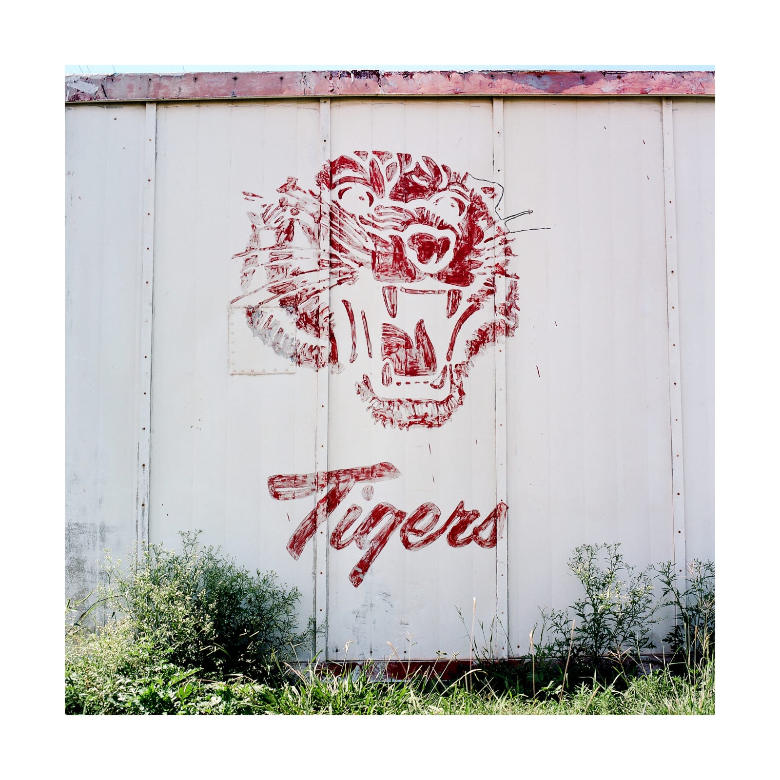 Jill Johnson, Tigers, Electra, TX, 2022