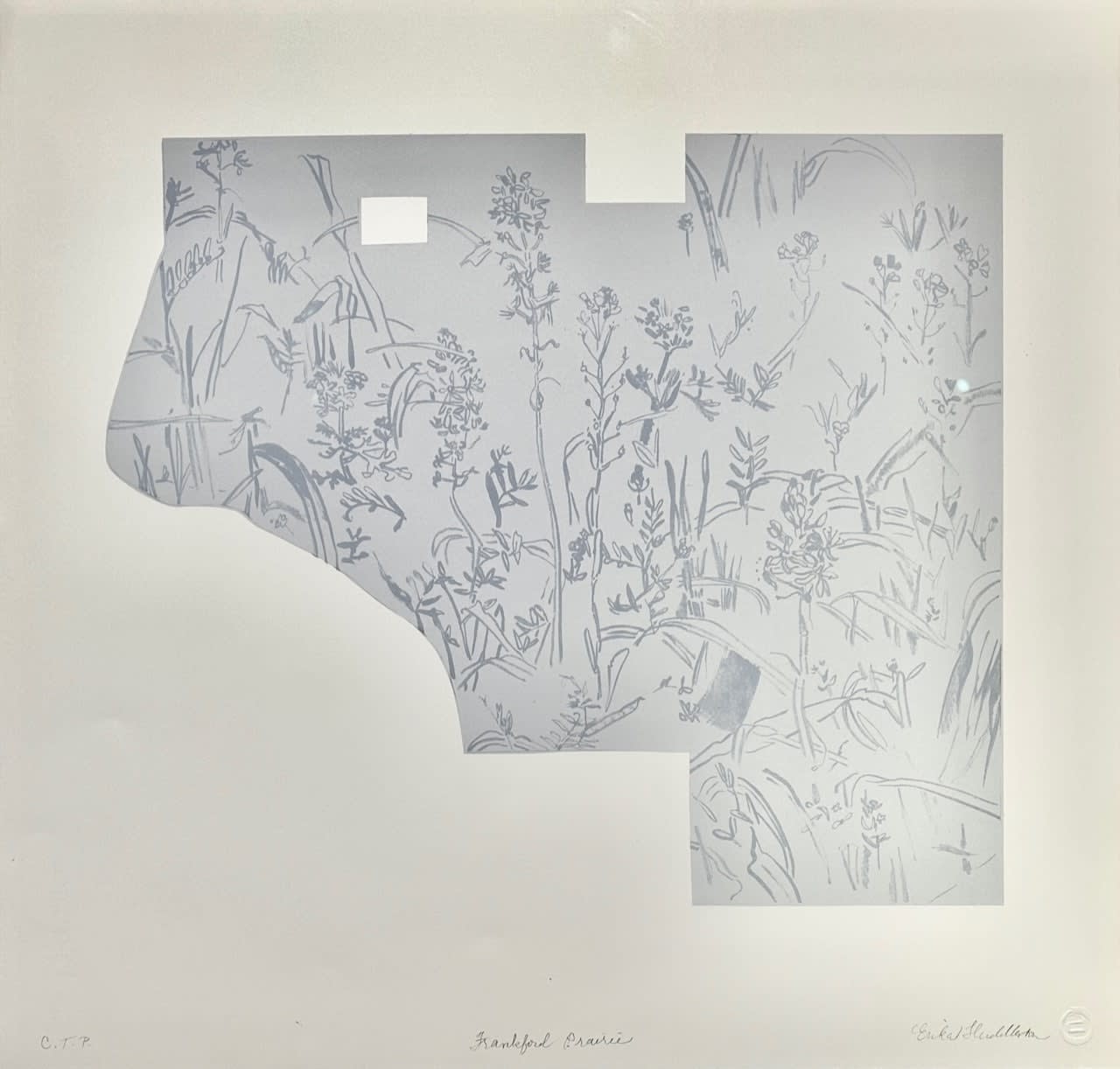 Erika Huddleston, Frankford Prairie, 2023