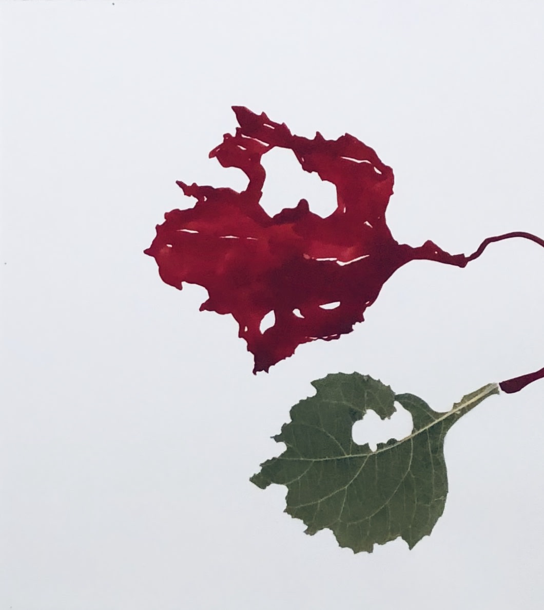 Deborah Mersky, Red Meadow