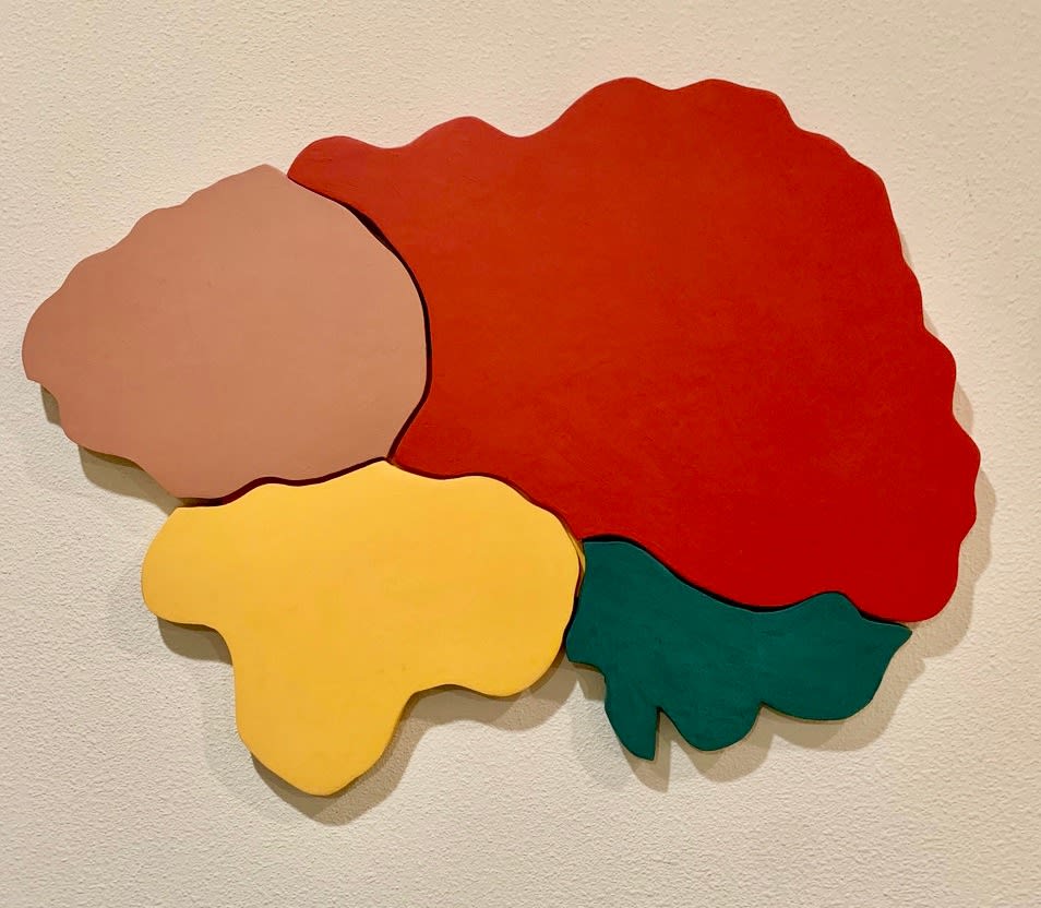 Carol Benson, Organic Shapes (Celosia)