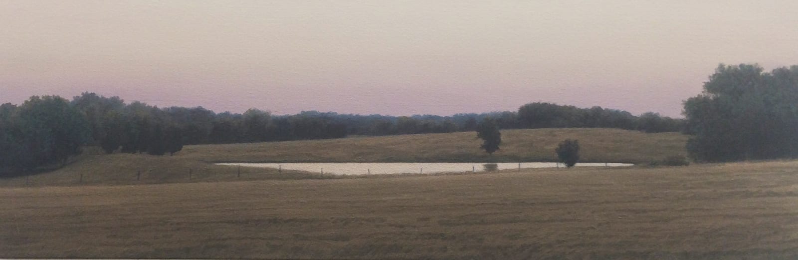 Dennis Blagg, Stock Tank, 2015