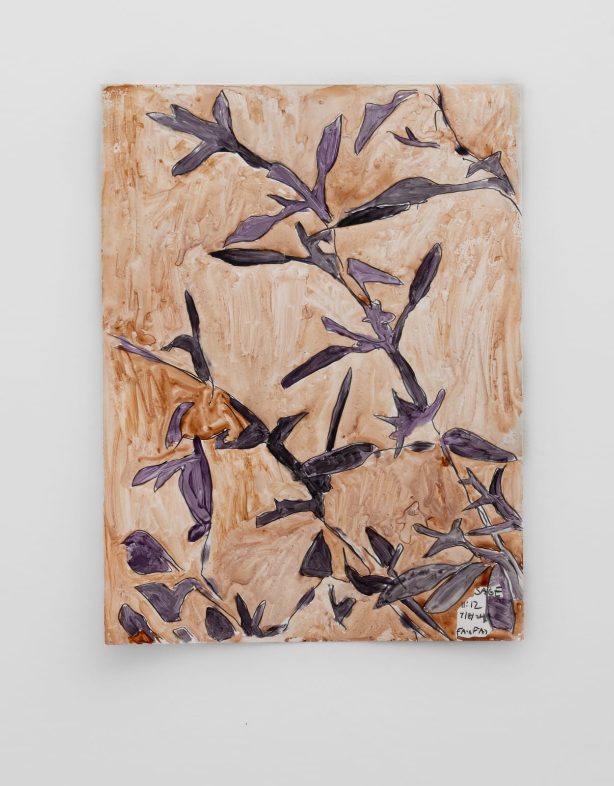 Carroll Swenson-Roberts, Sage Shadow, 2024