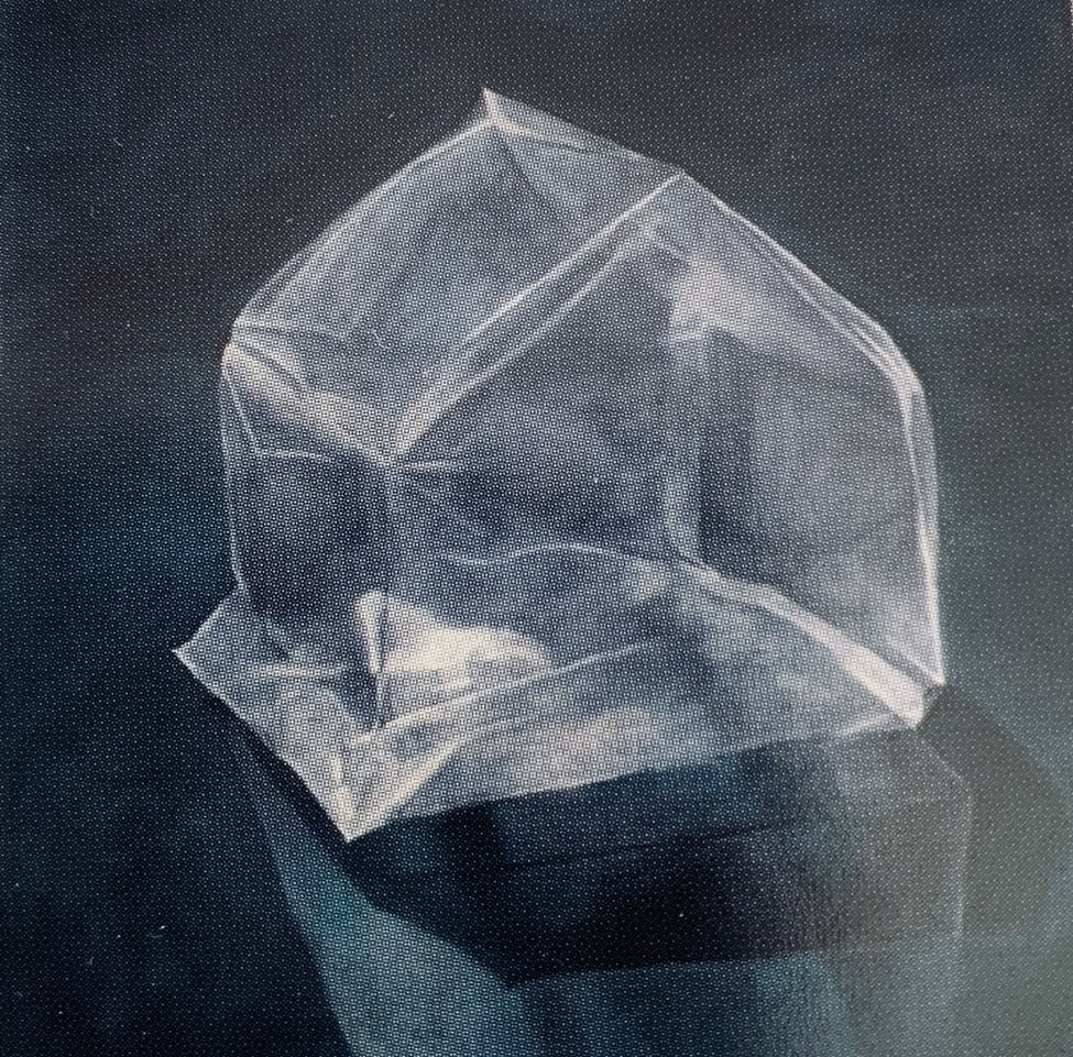 Carol Benson, Protected