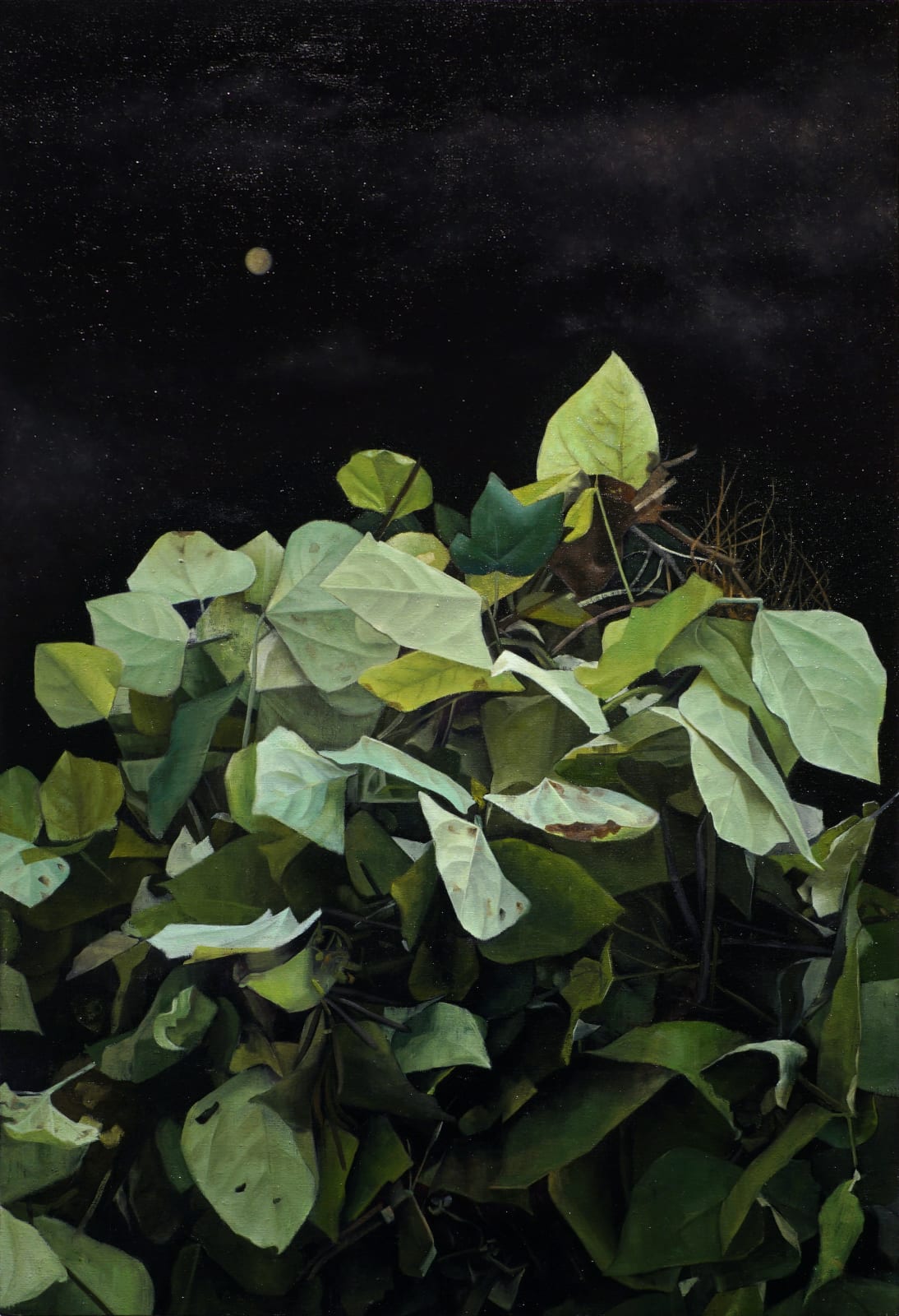 Mihee Nahm, Gardening #1, 2022