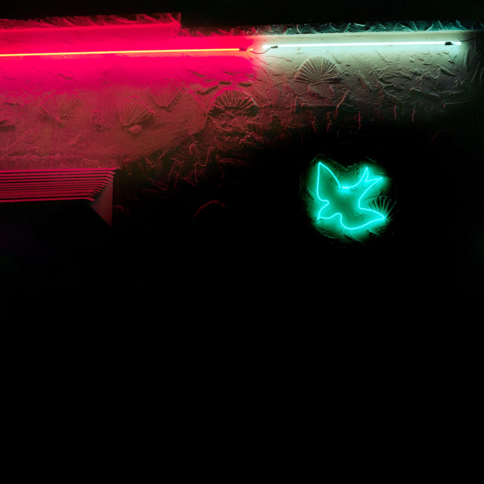 Jill Johnson, Blue Swallow