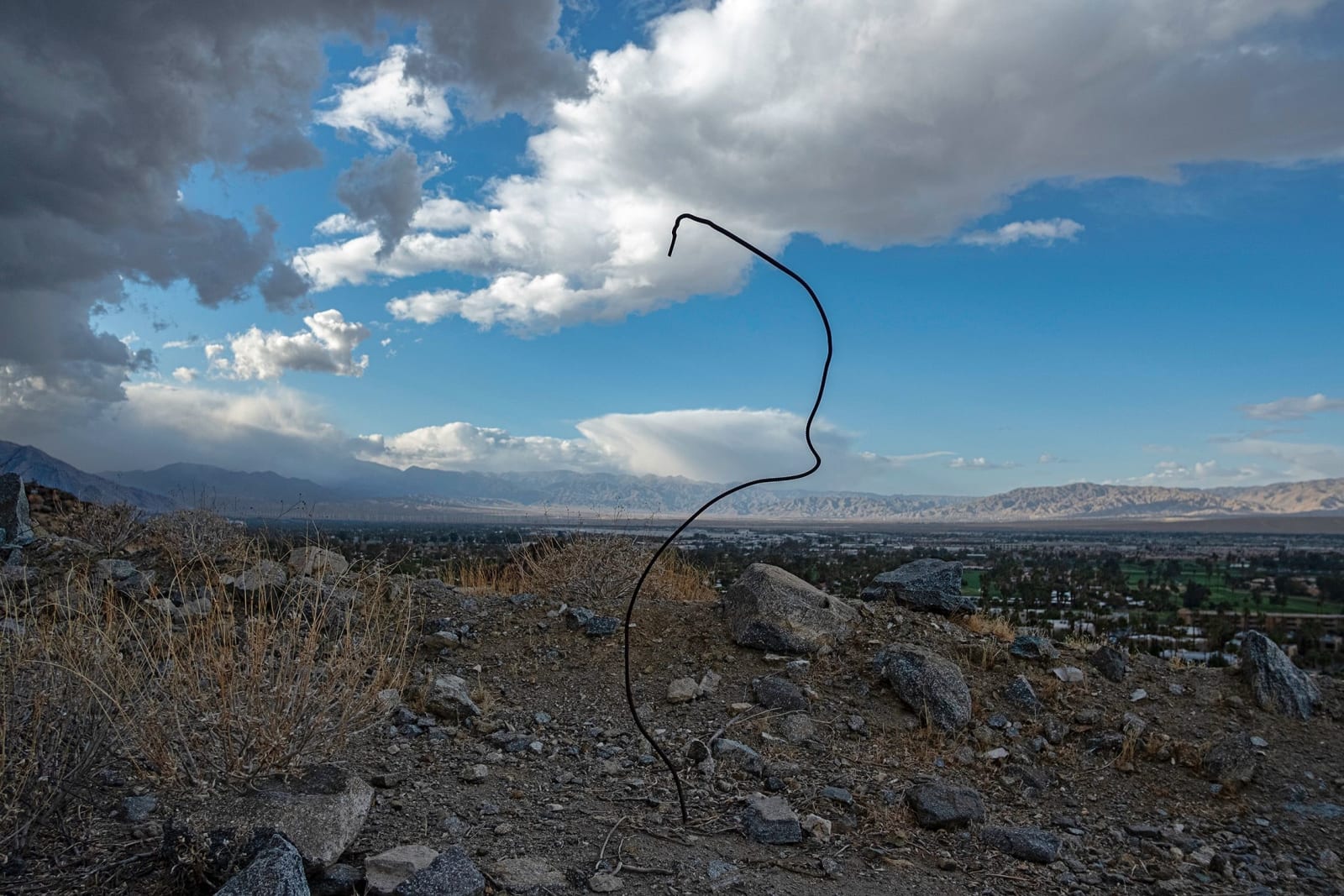 William Greiner, Rebar, Palm Springs CA, 2020