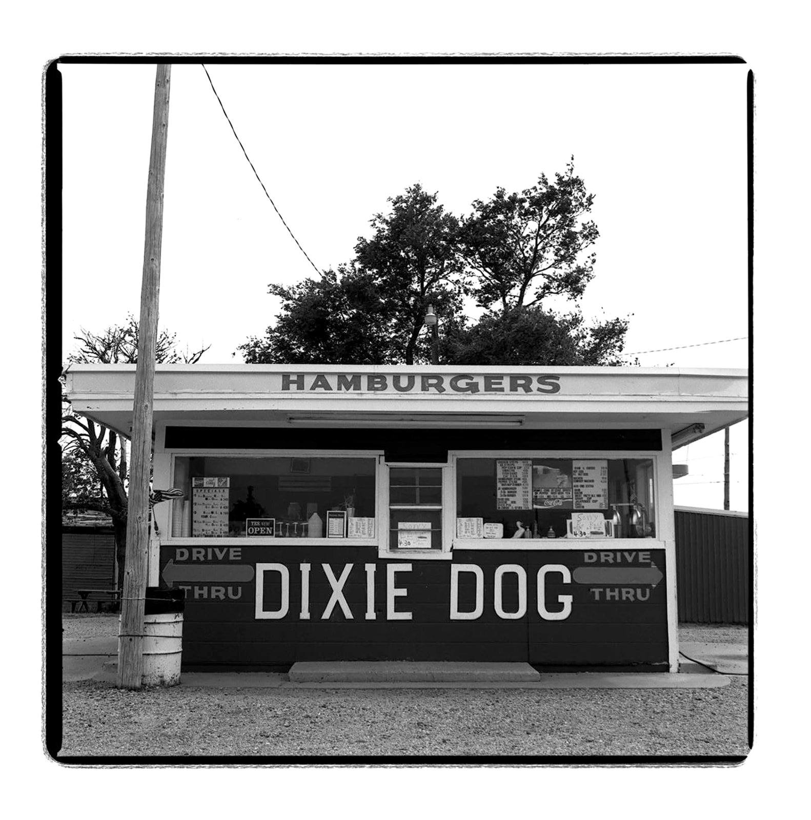 Jill Johnson, Dixie dog, 2019