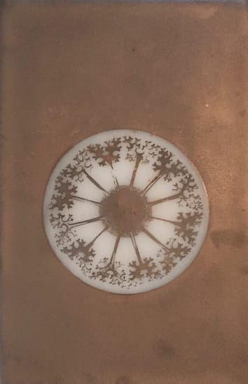 Jo-Ann Mulroy, Dandelions 2, 2008