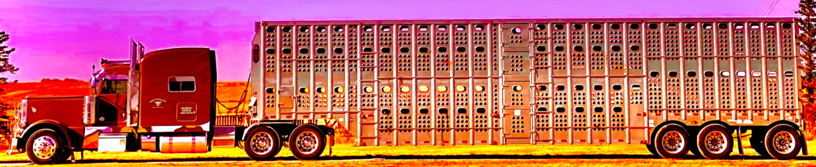 J.C. Pace III, 42 Mini Pink Eighteen Wheeler, 2023