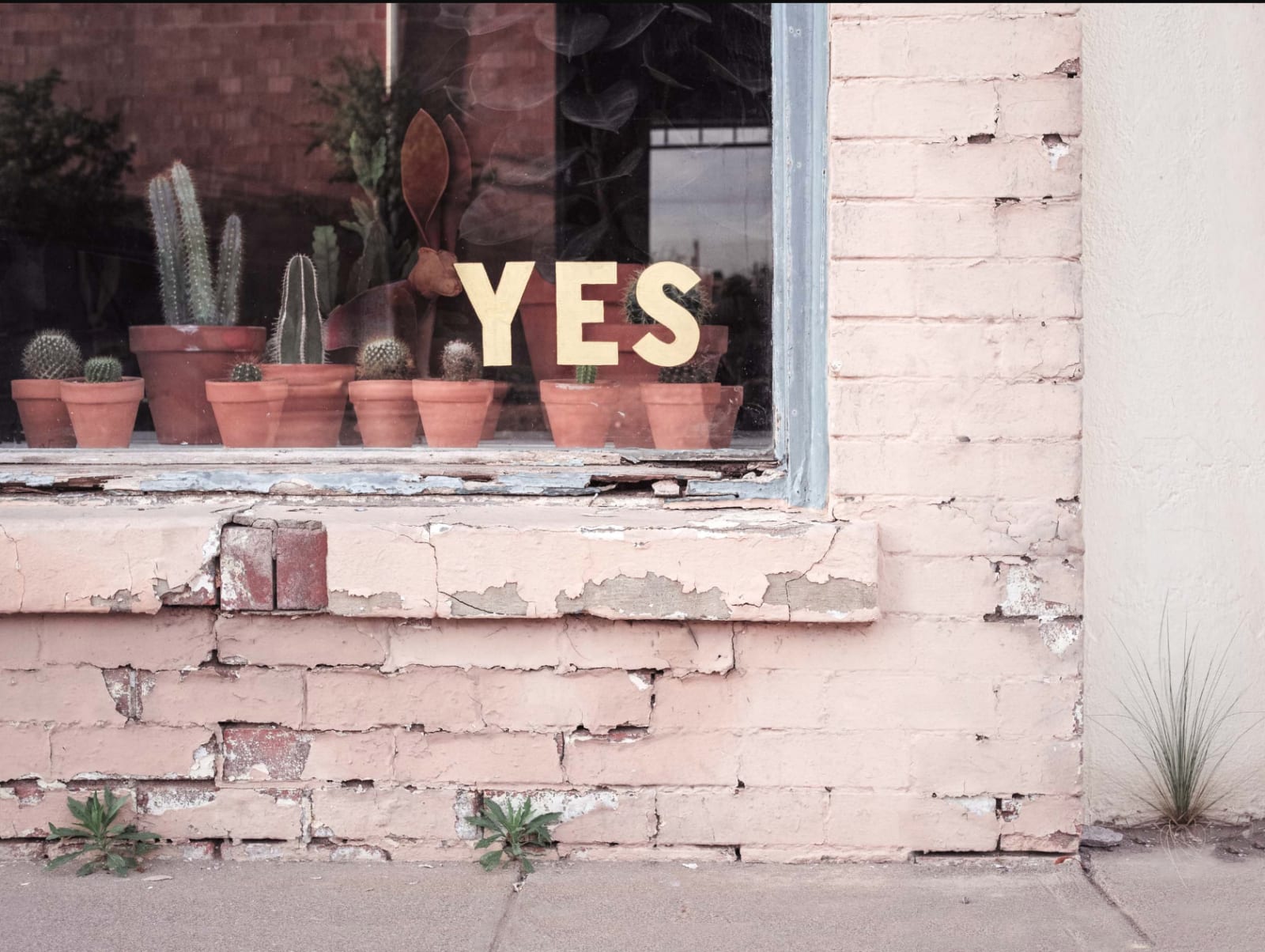 Kristin Kirkley, Yes, 2019