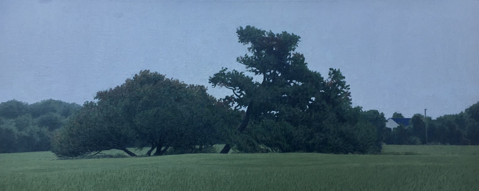 Dennis Blagg, Trees In A Field, 2020