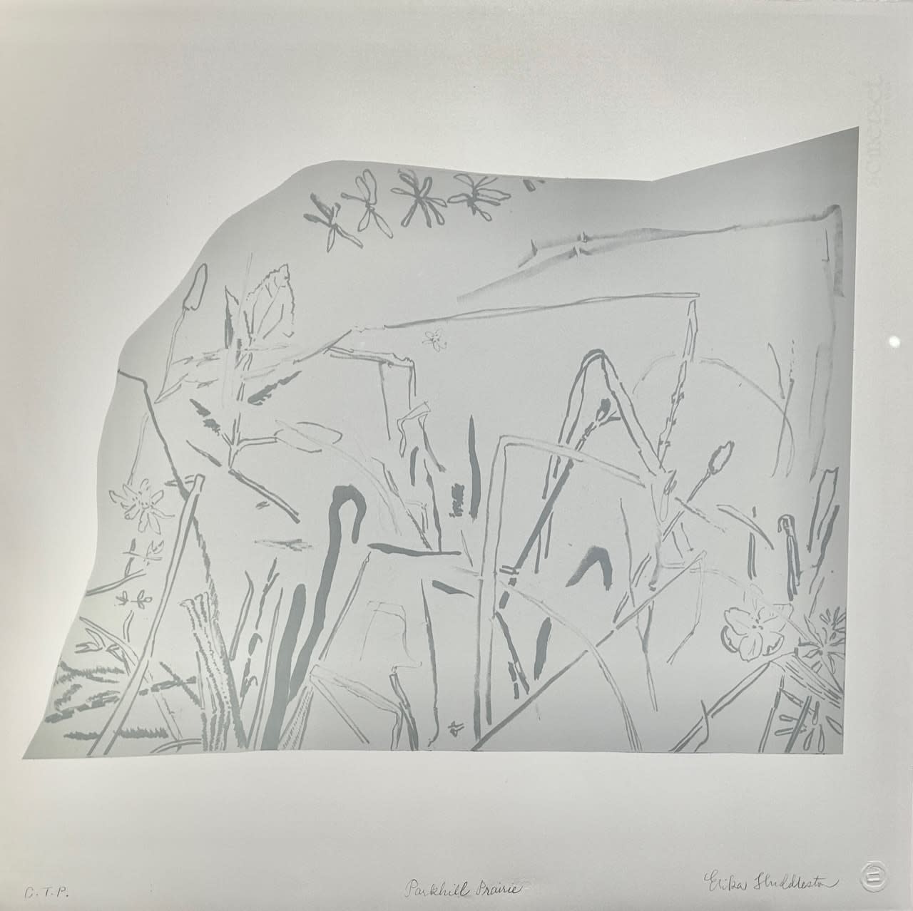 Erika Huddleston, Parkhill Prairie, 2023