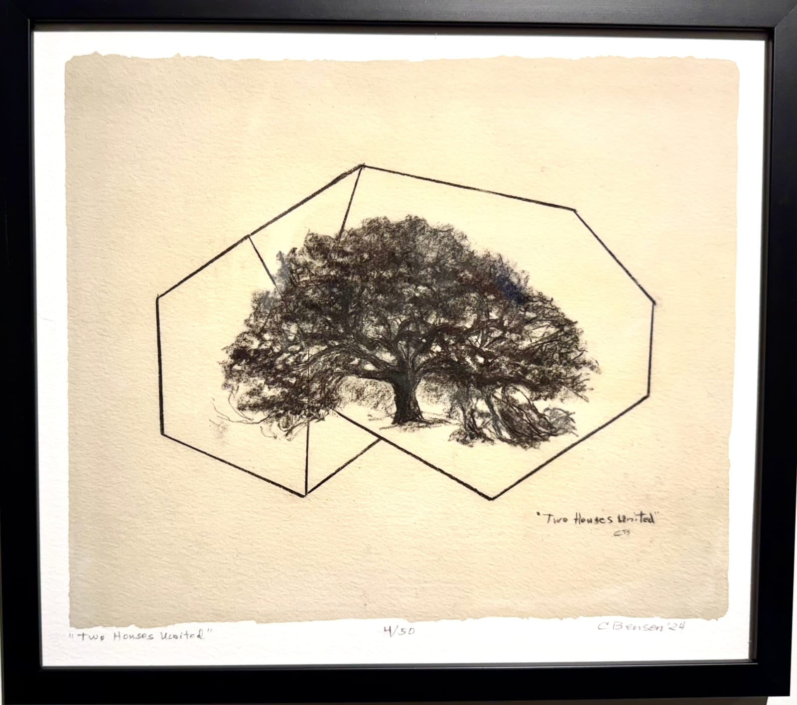 Carol Benson, Two Houses United , 2024