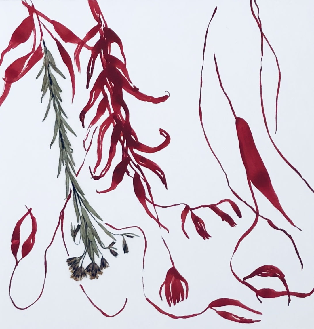 Deborah Mersky, Red Meadow