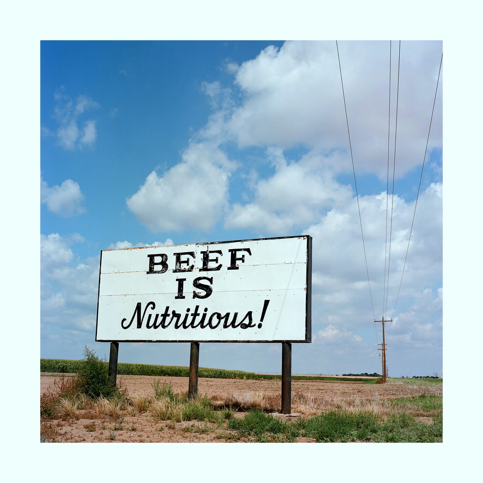 Jill Johnson, Beef, Friona, Texas, 2022
