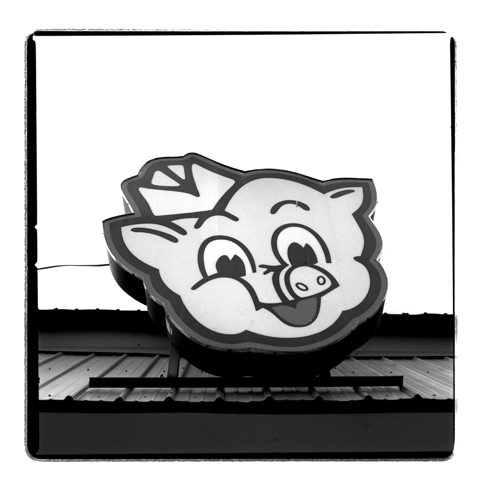 Jill Johnson, Piggly Wiggly, 2019