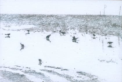 Katie Maratta, Birds in Puddle #3, 2019