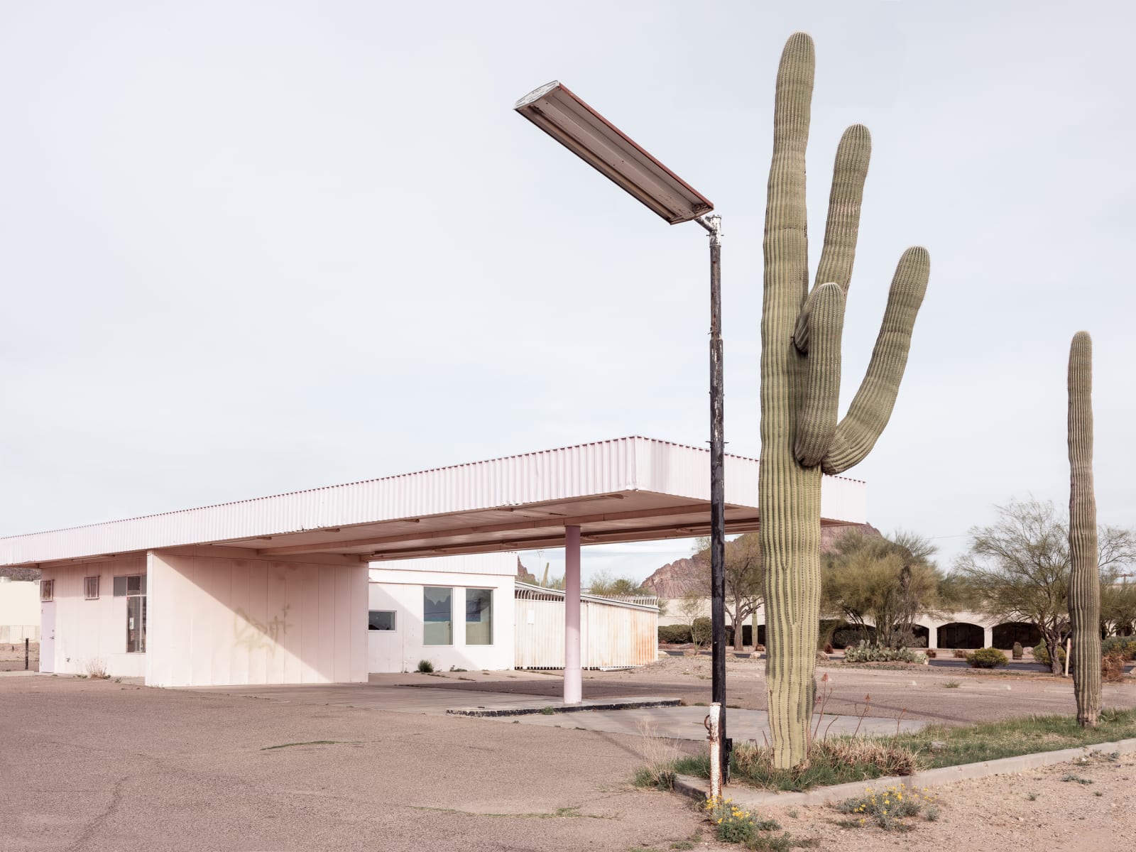 Kristin Kirkley, W Ajo Way, 2018