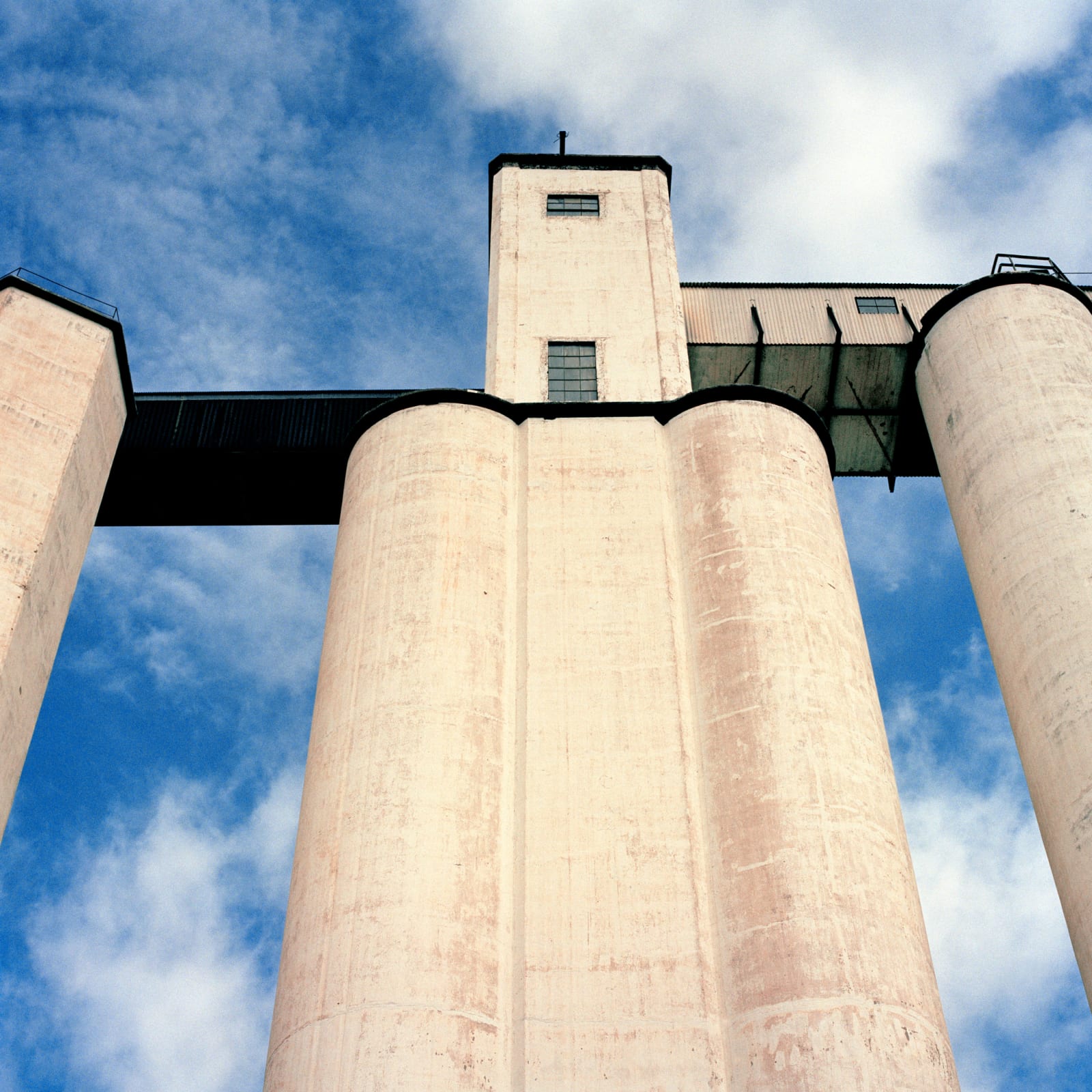 Jill Johnson, Bushland Grain