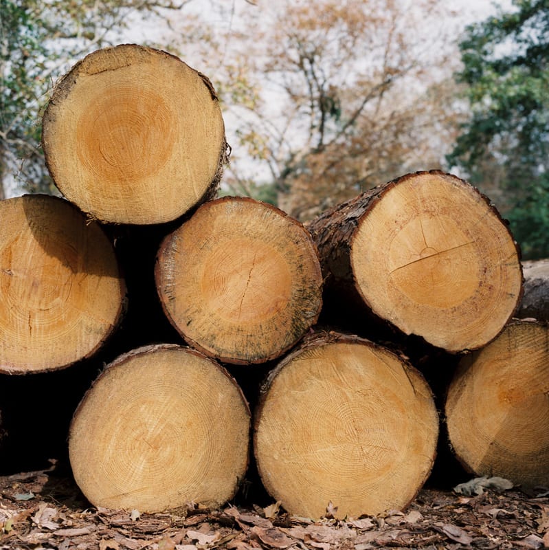 Jill Johnson, East Texas