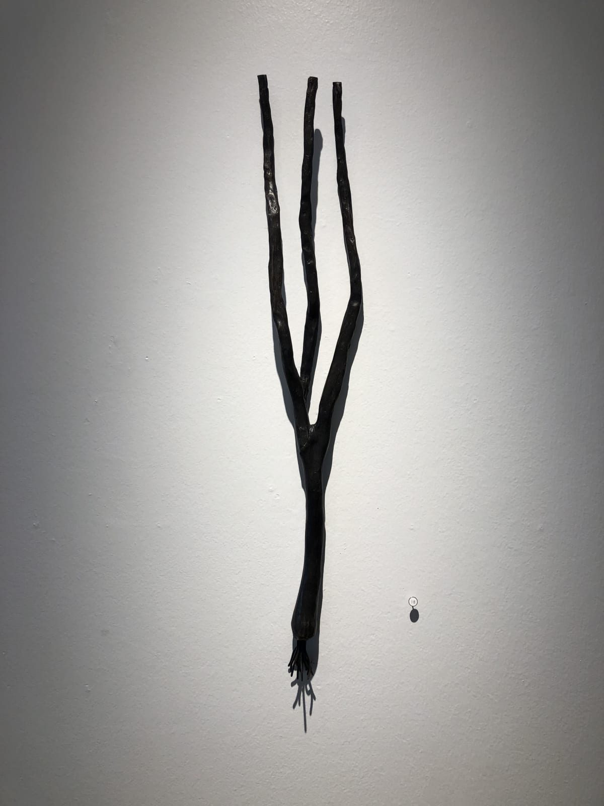 J.C. Pace III, 28" Green Onion, 2018
