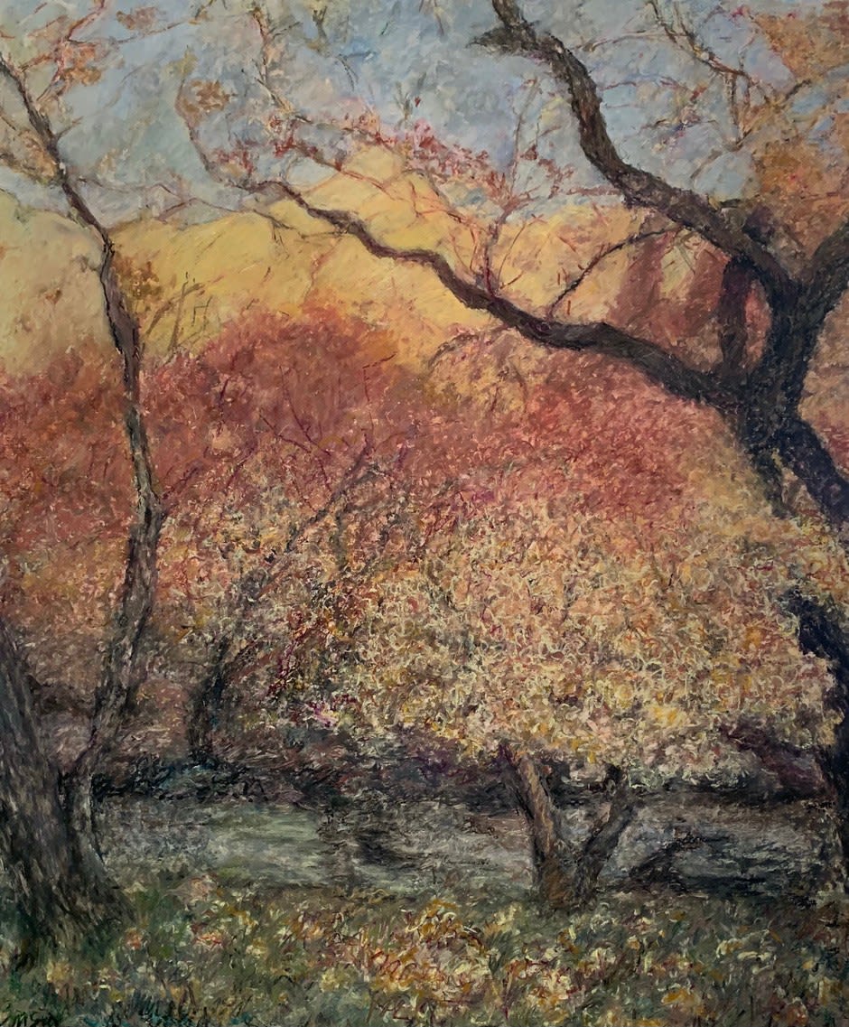 Carol Benson, Zion National Park