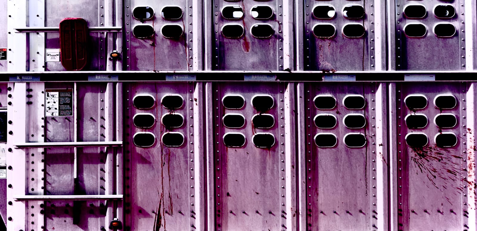 J.C. Pace III, 34 Purple with Paddle, 2023