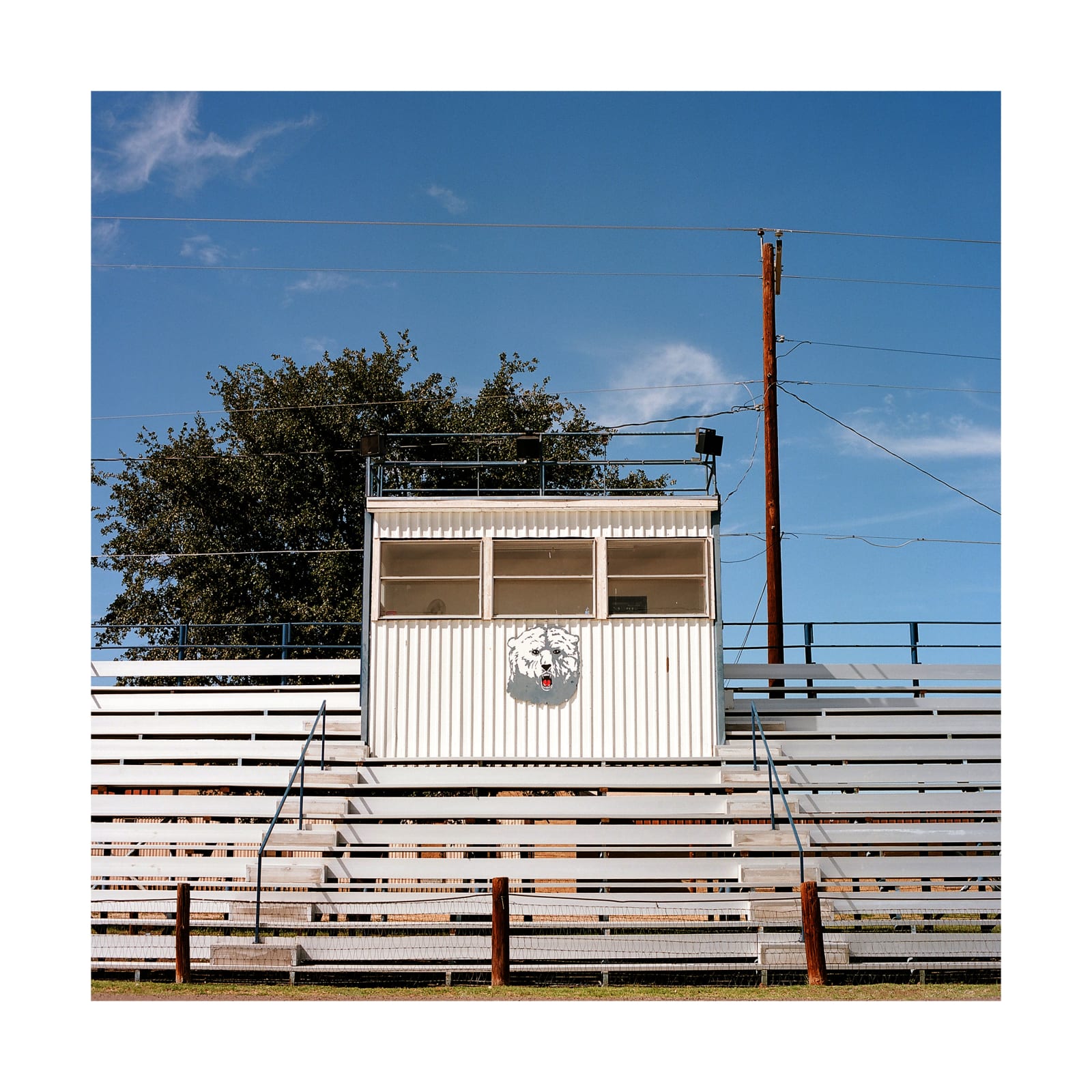 Jill Johnson, Bears, Frost, TX, 2022