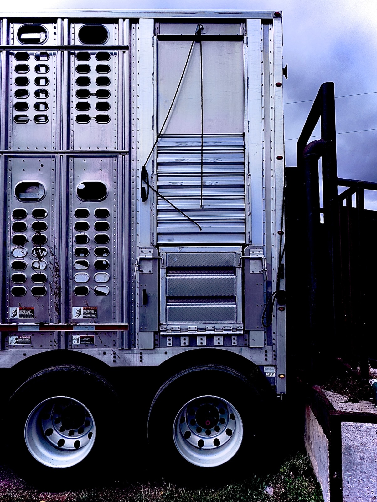 J.C. Pace III, Side Shoot, 2023