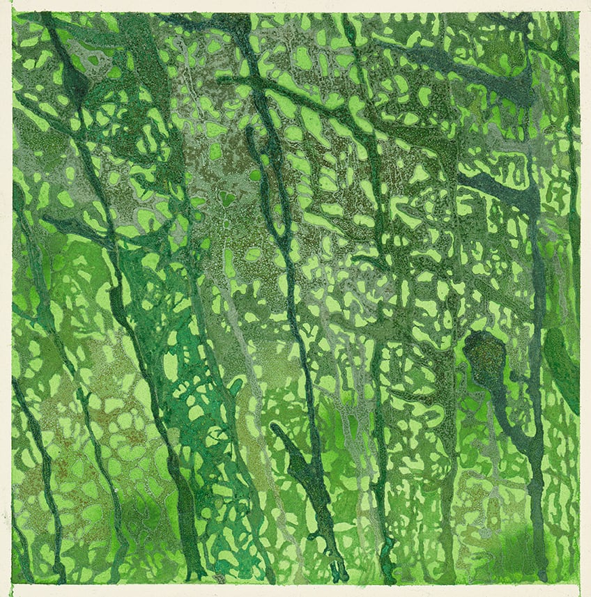 Madeline Irvine, Small Kelp