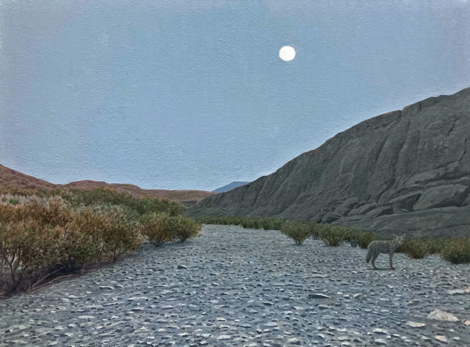 Dennis Blagg, The Lone Lobo, 2024