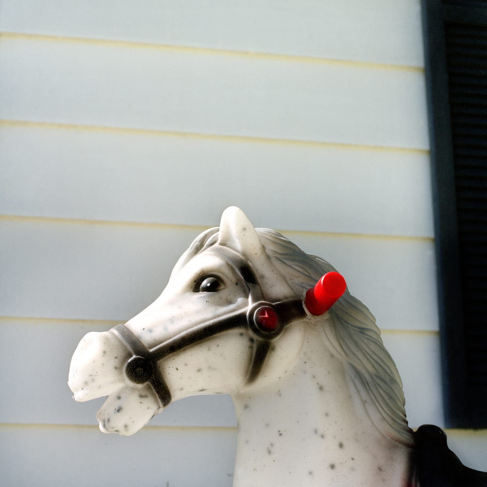 Jill Johnson, Wonder Horse