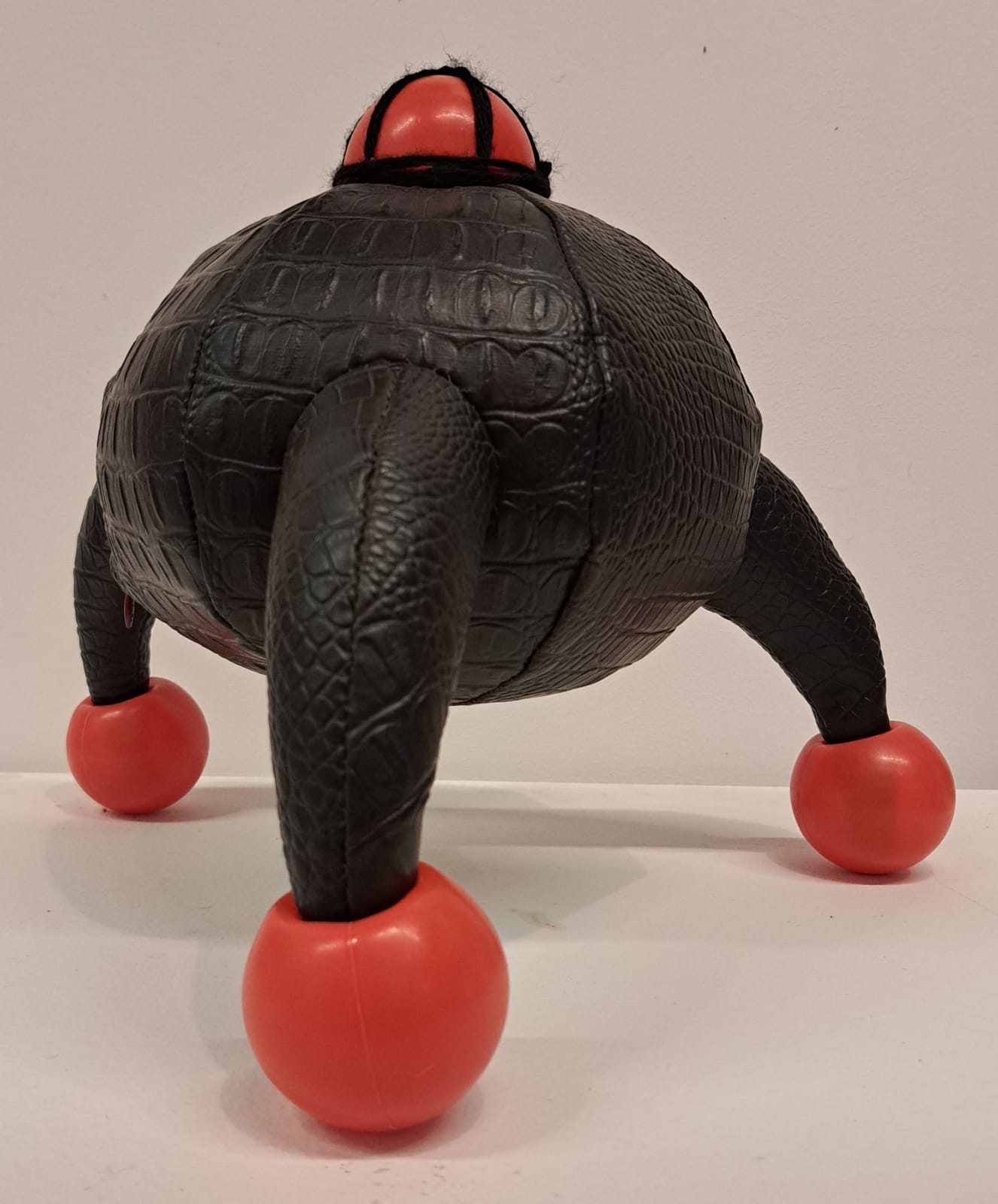 Angel Fernandez, Ocotillo Bloom, 2024