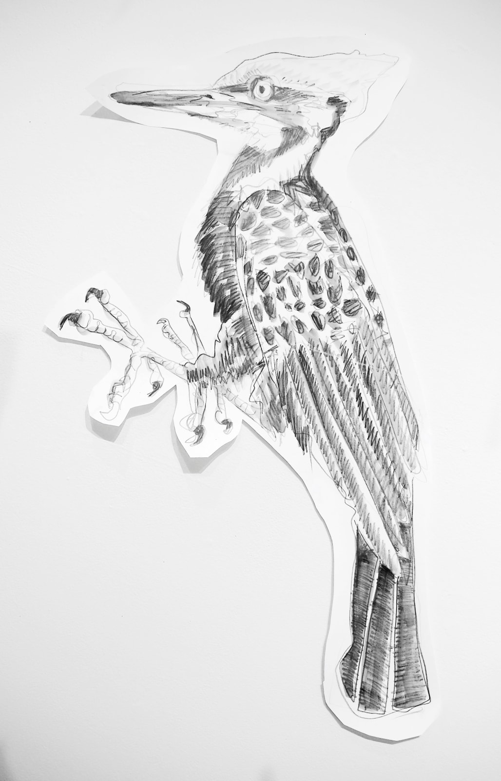 Jules Buck Jones, Pileated Woodpecker (dryocopus pileatus), 2019