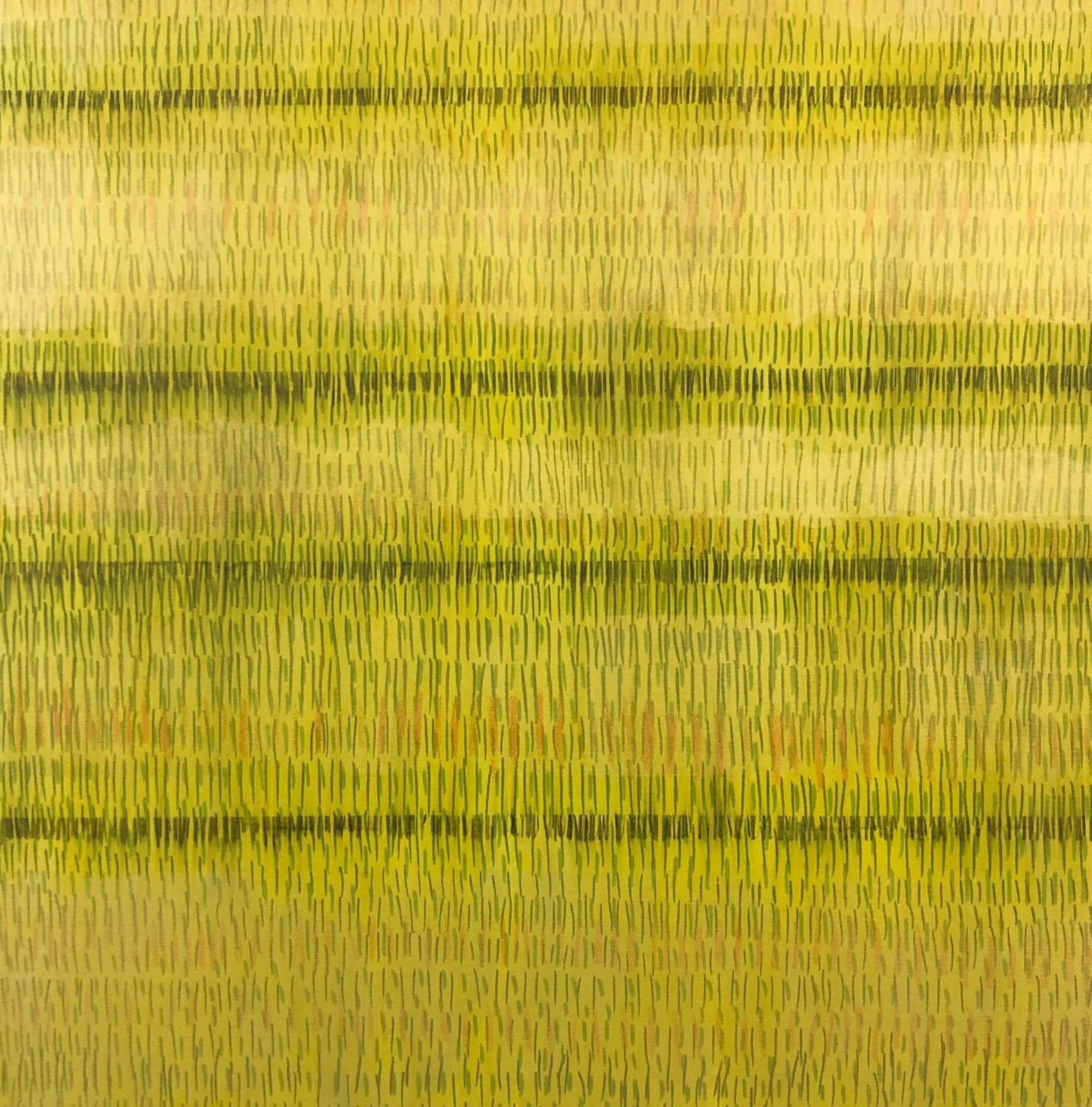 Jeffrey Poole, Yellow Jacket, 2019