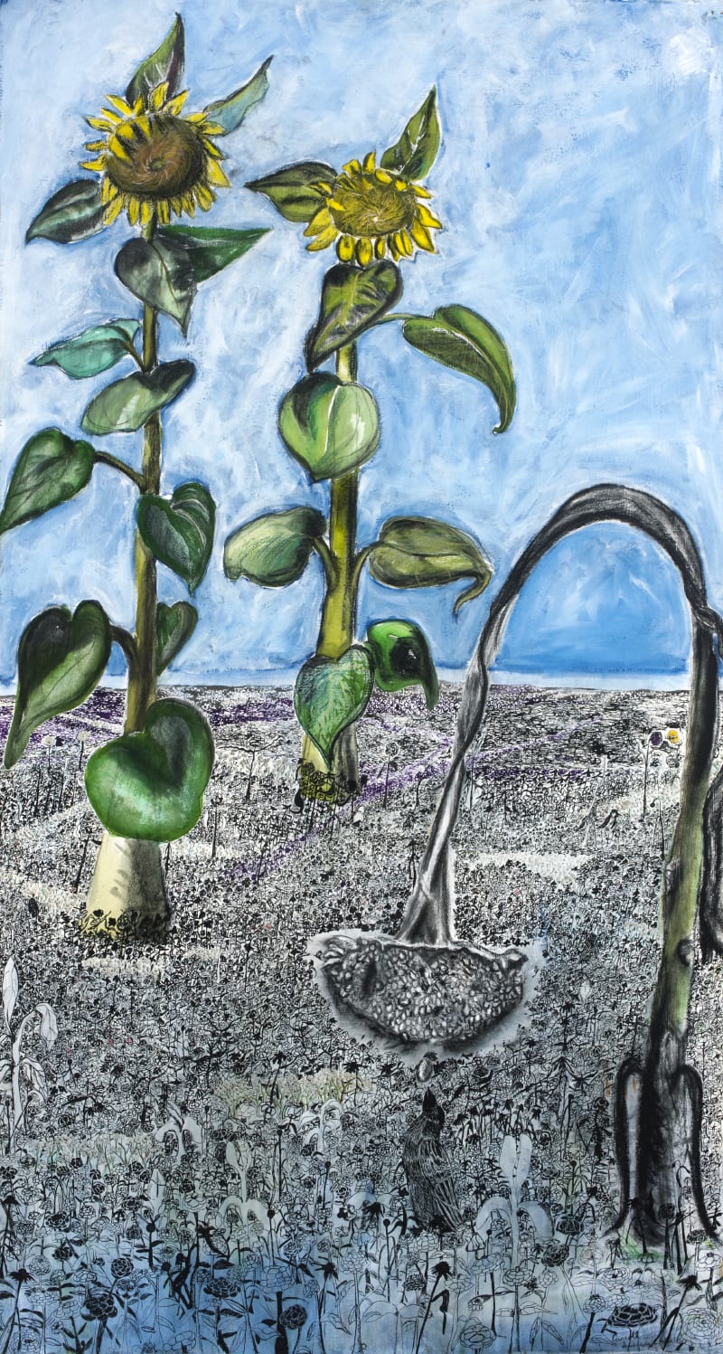 Carroll Swenson-Roberts, Sunflowers