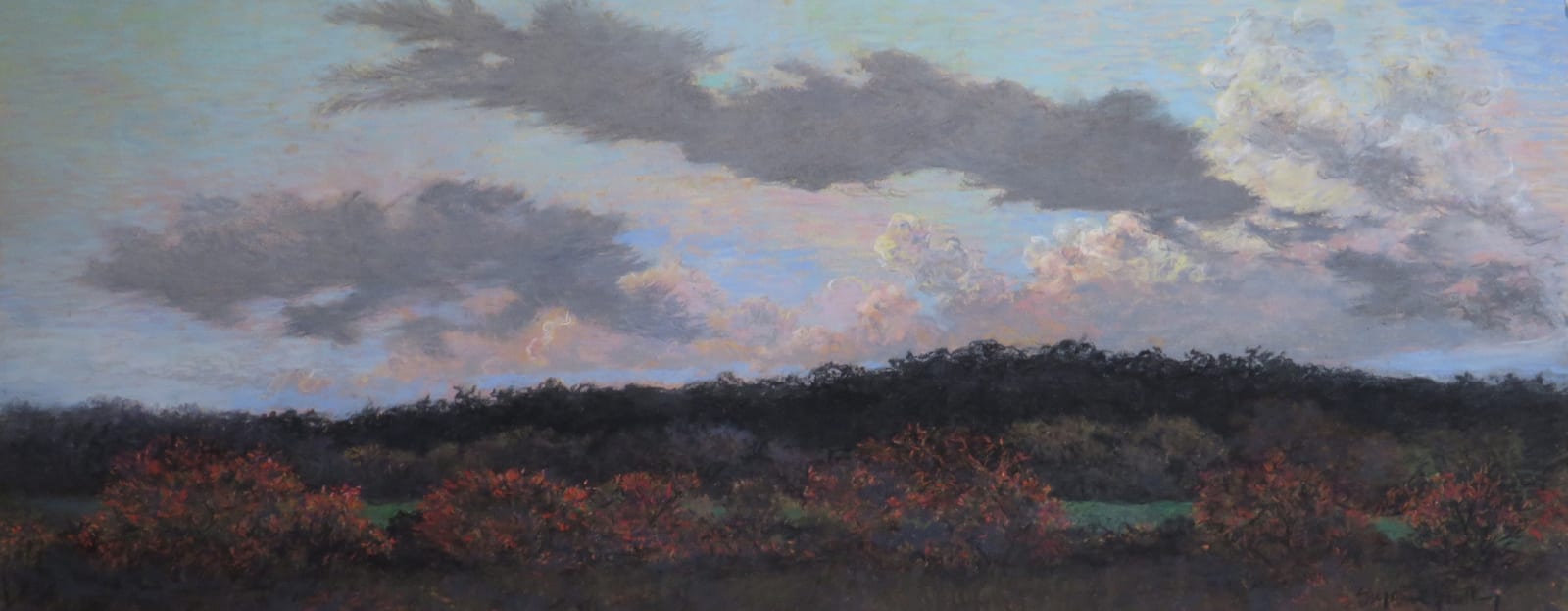 Suzanne Gentling, SUMAC EVENING, 1990