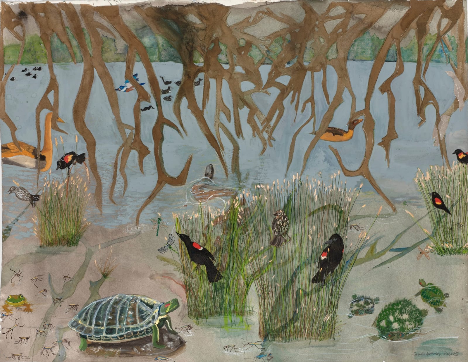 Carroll Swenson-Roberts, Lakeside Turtles, 2025