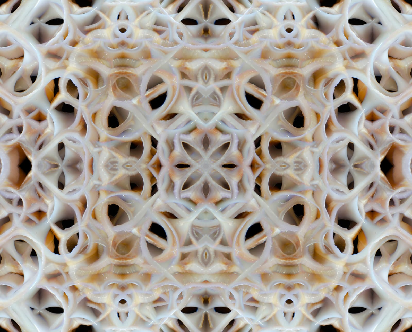 Westley Harwart, Untitled #30, 2023