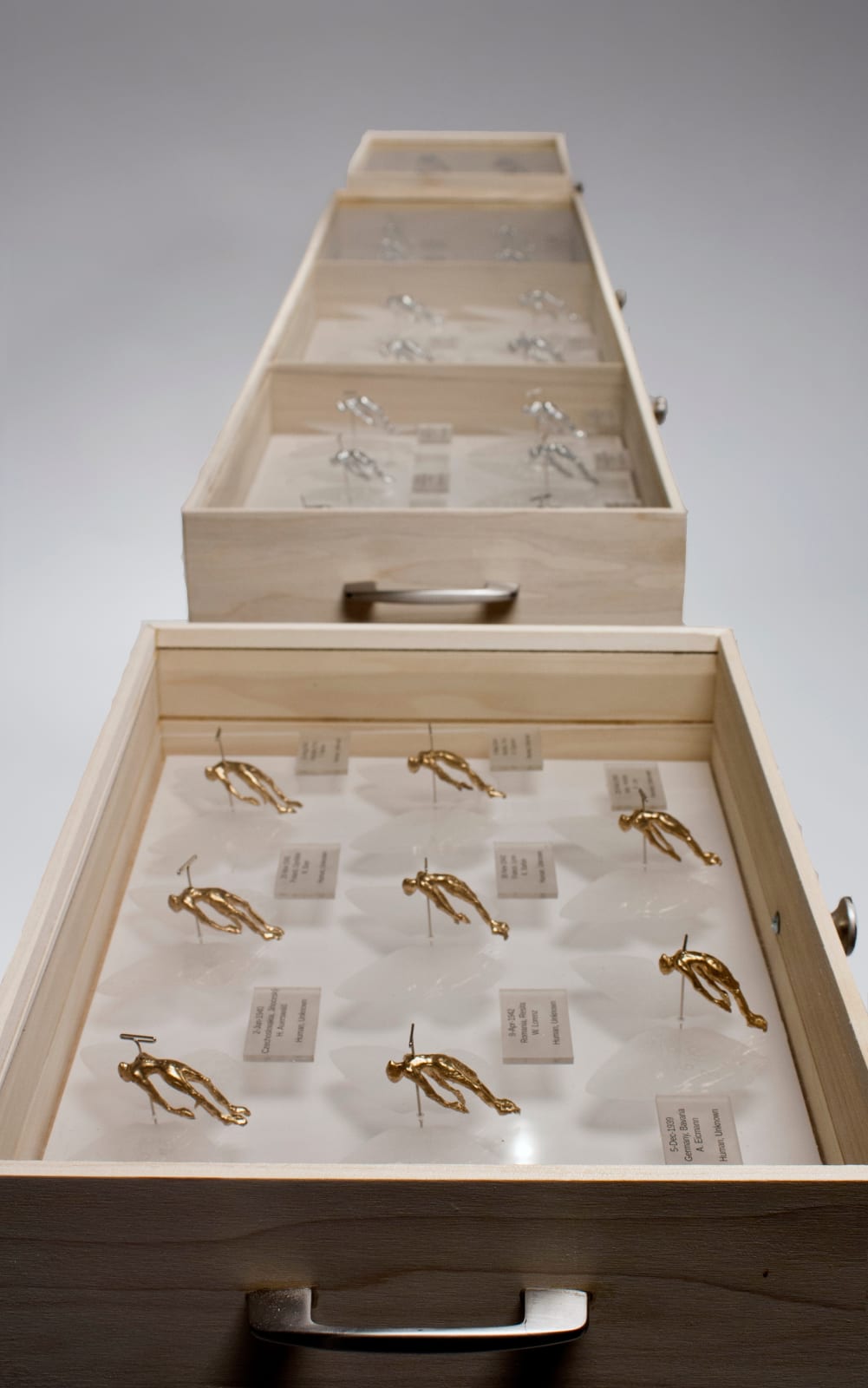 Bernardo Vallarino, Genocide Samples , 2022