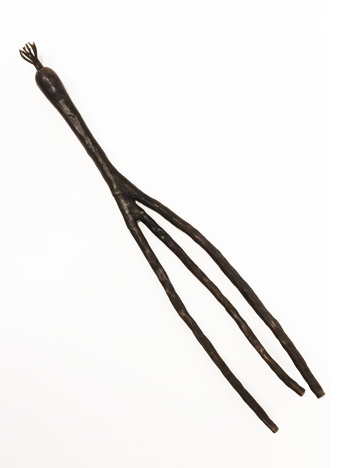 J.C. Pace III, 30" Green Onion, 2018