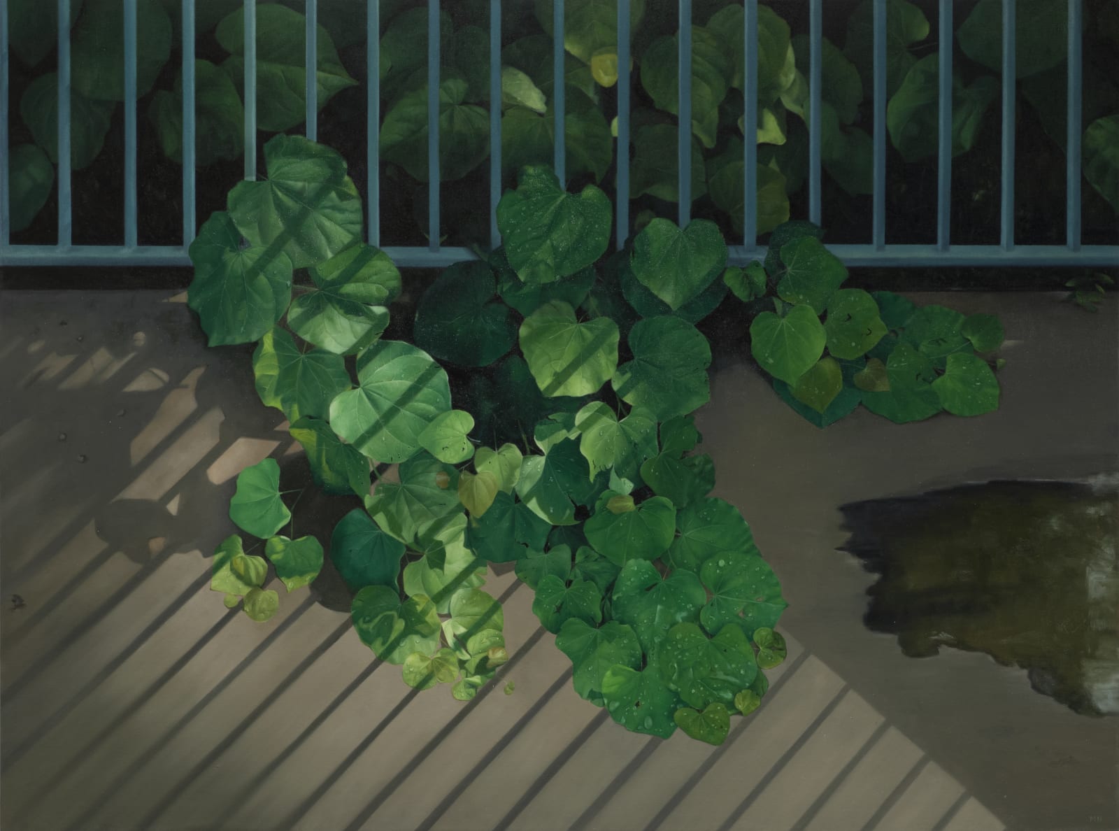 Mihee Nahm, Irving, TX, 2022