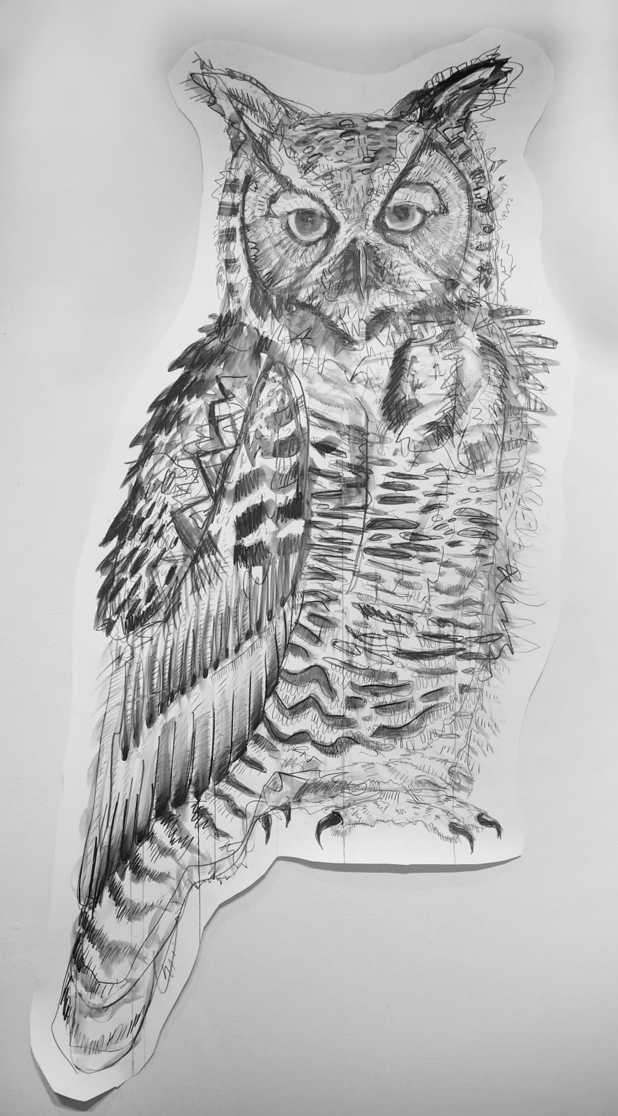 Jules Buck Jones, Great Horned Owl (Bubo Virginianus), 2019