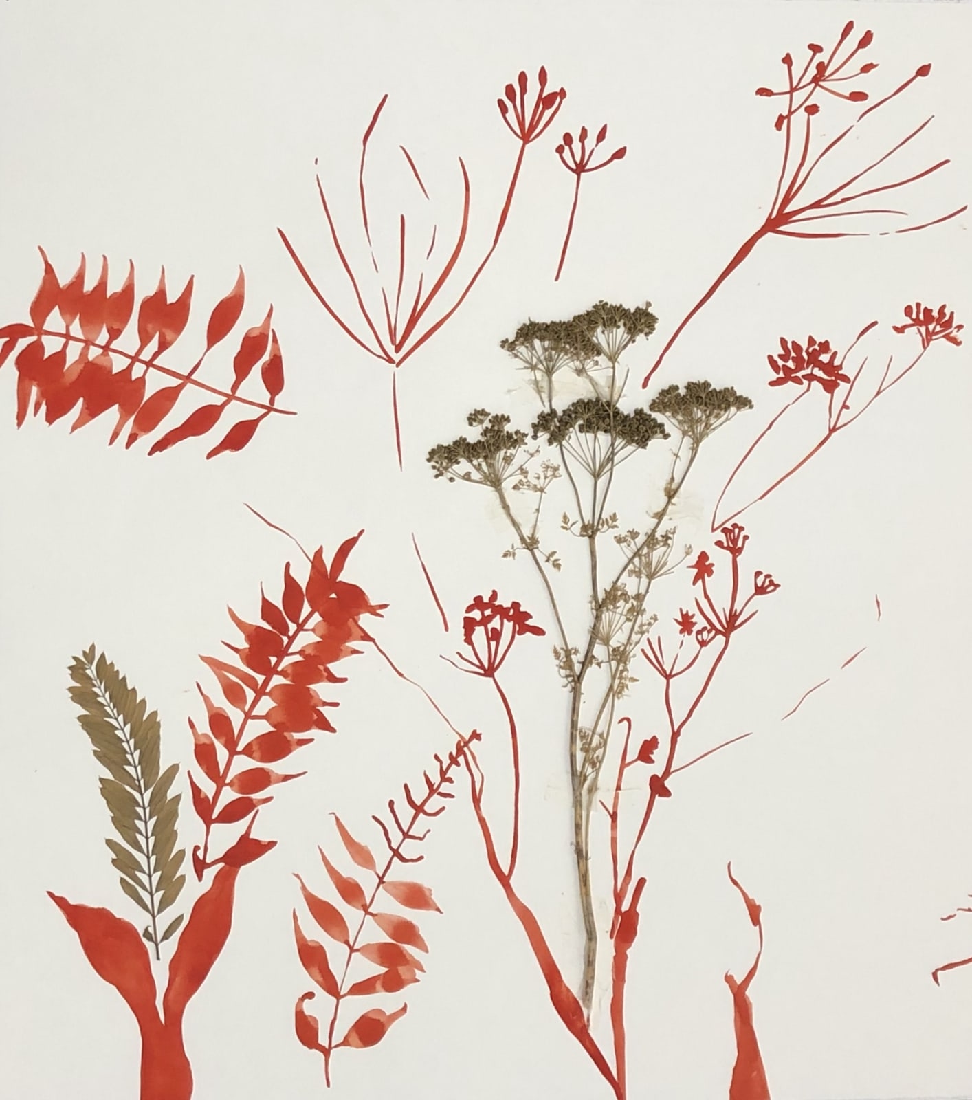 Deborah Mersky, Big Red Meadow