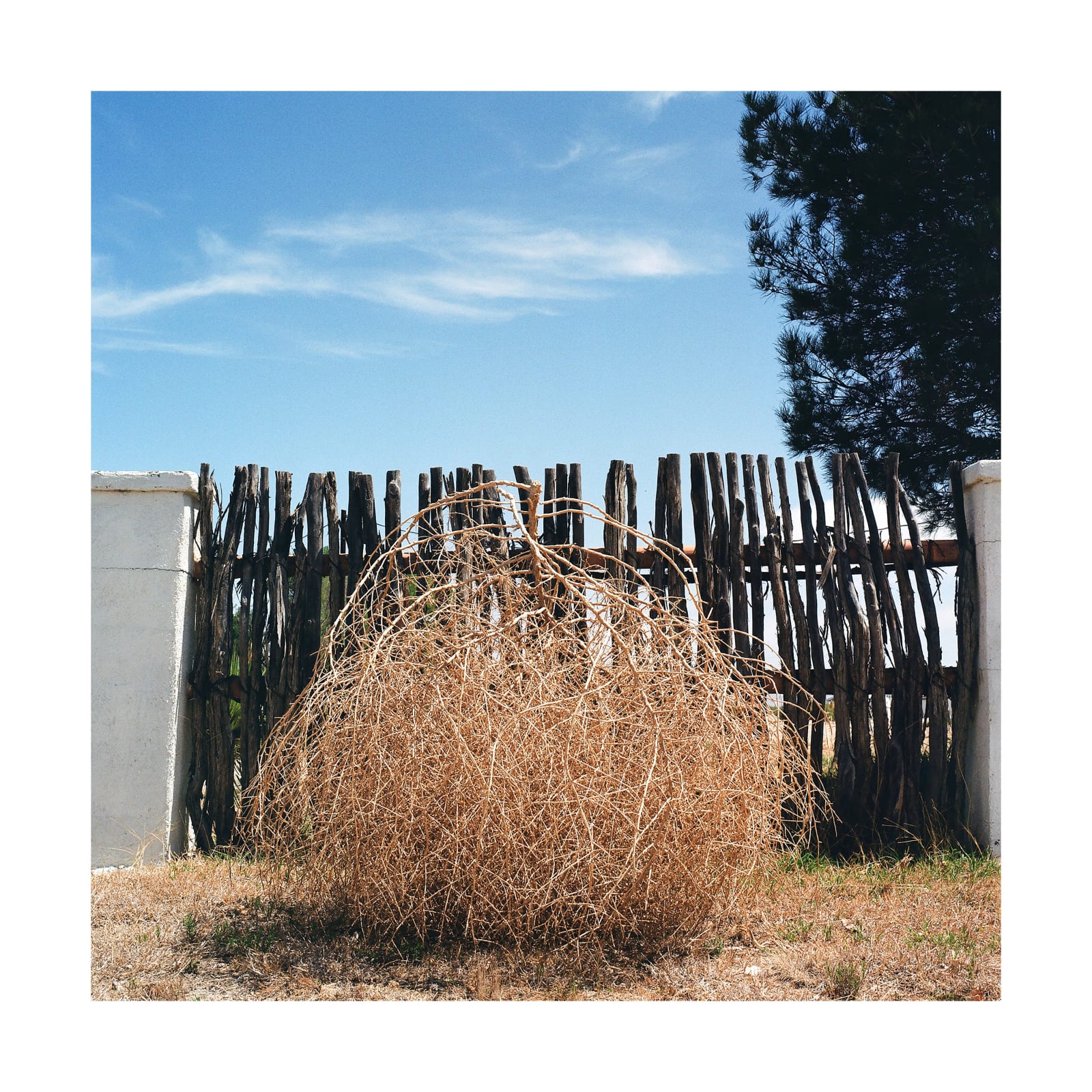 Jill Johnson, Tumble, Littlefield, Texas, 2022