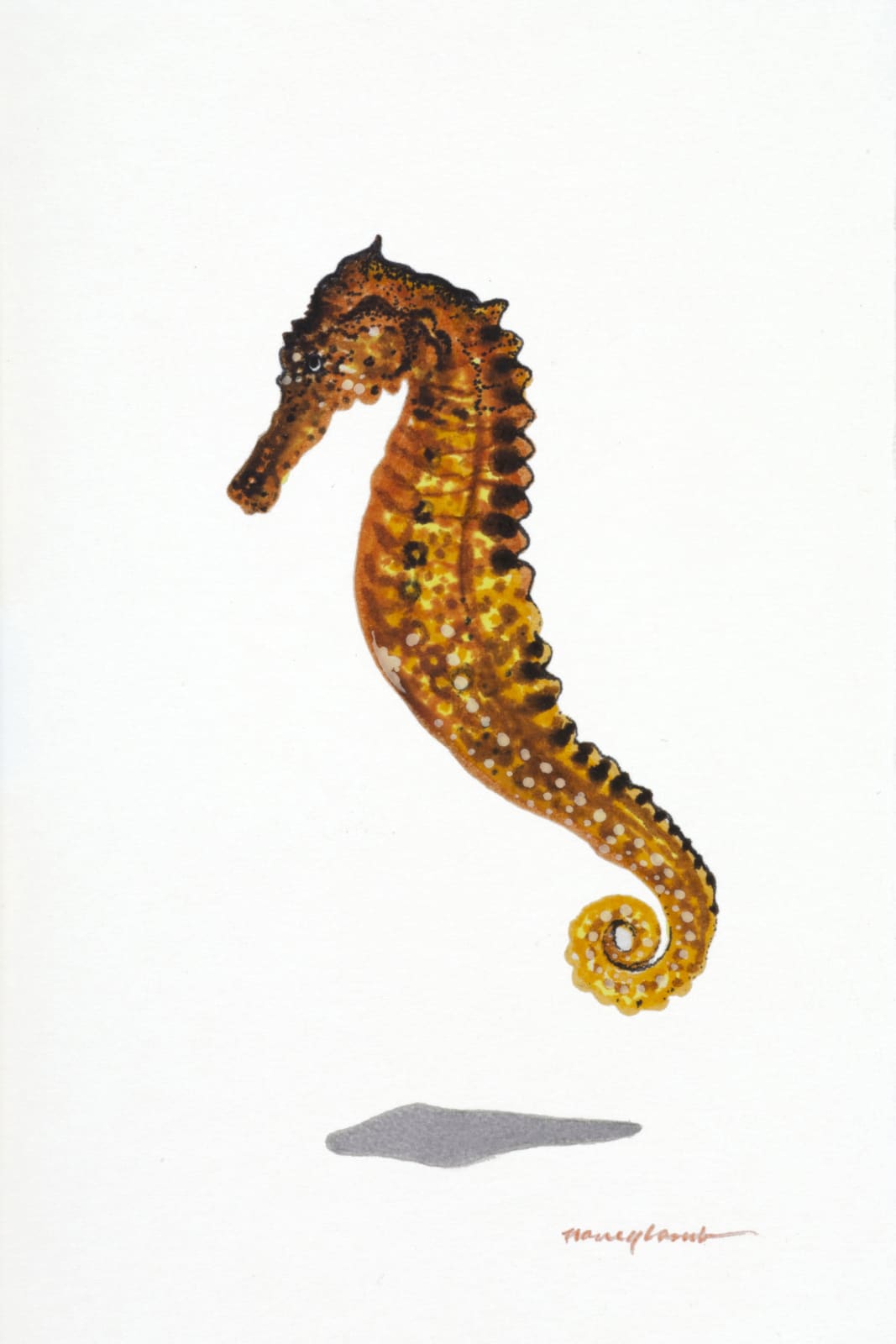 Nancy Lamb, Curly Tail Seahorse, 2020