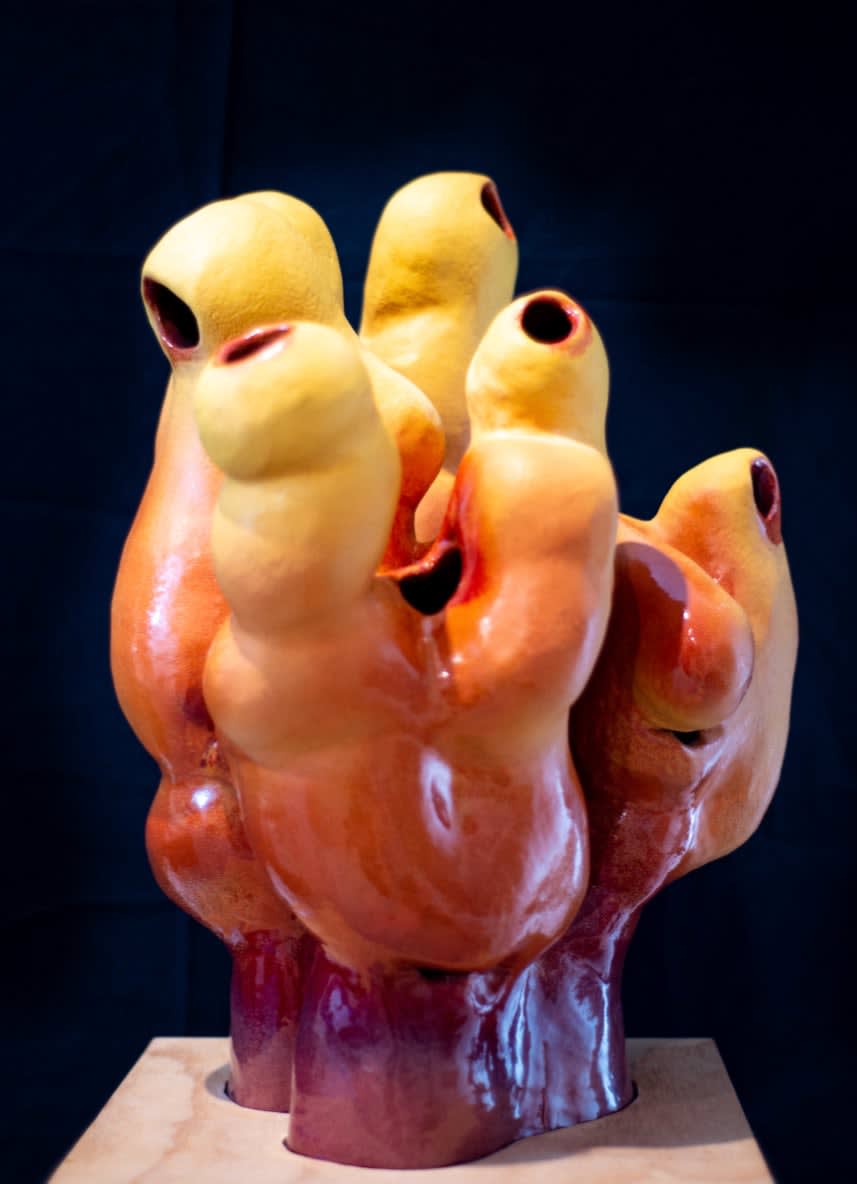 Caroline PM Jones, Actiniaria