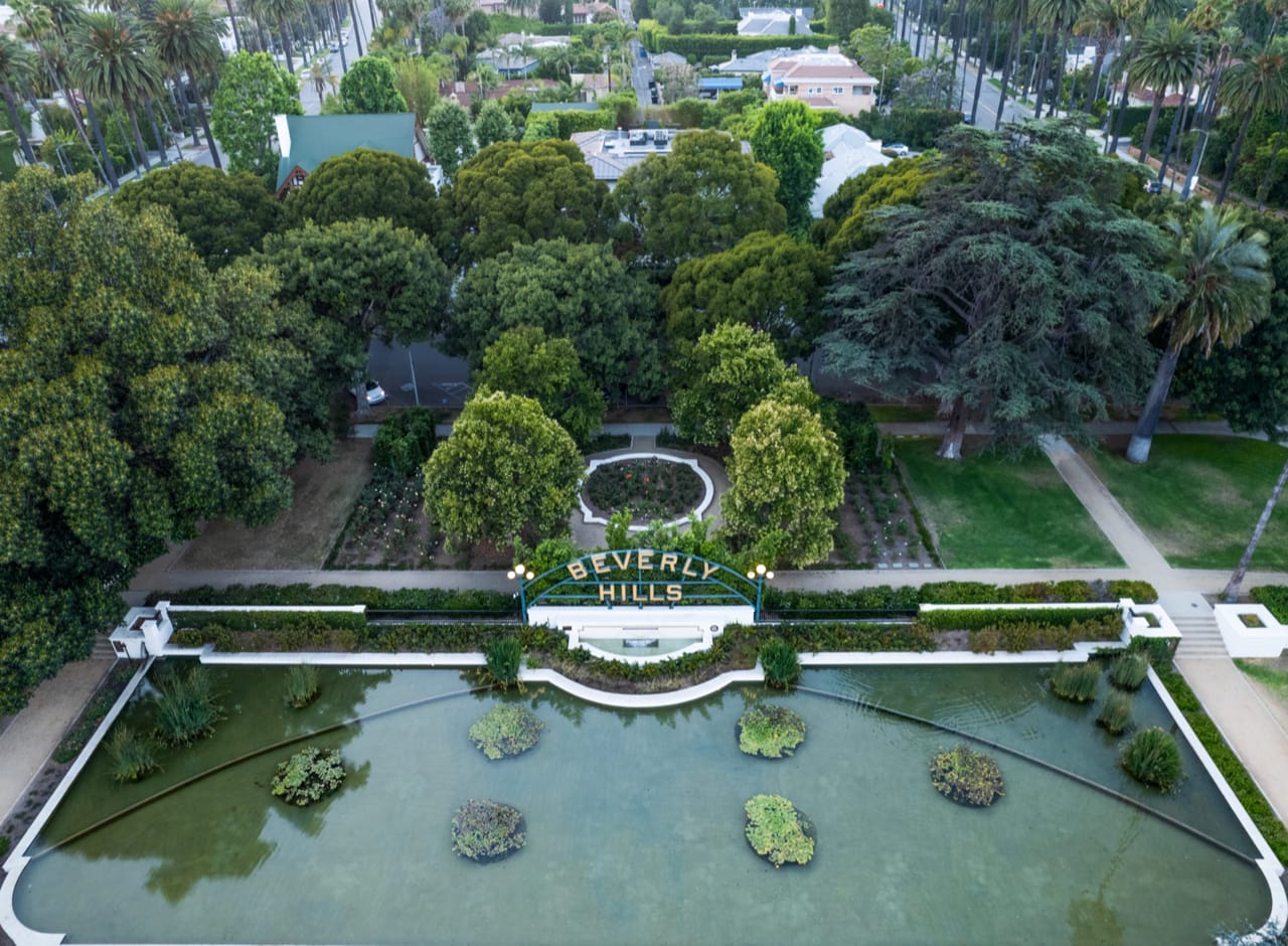 Artem Shestakov, City Park