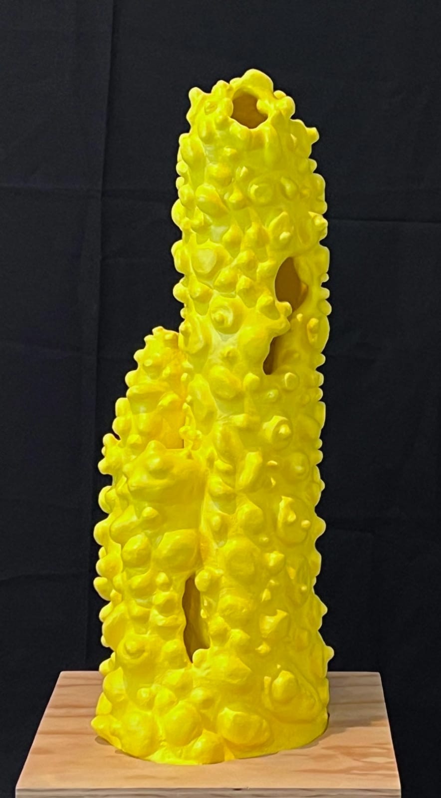 Caroline PM Jones, Amarillo